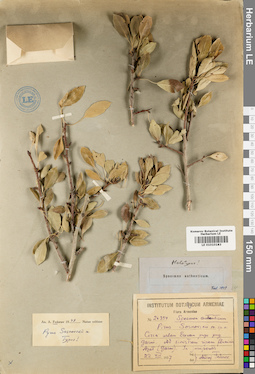 LE 01010183