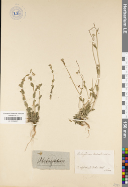 LE 01038507