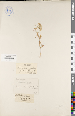 LE 01038511