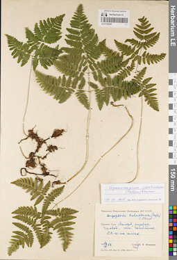 LE 01182397