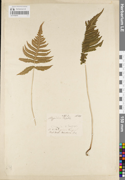 LE 01182510