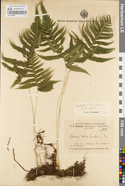 LE 01182461
