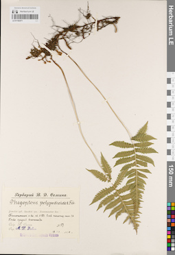 LE 01182471