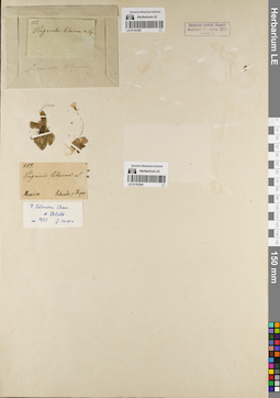 LE 01191293