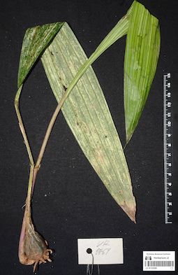 LE 01123320