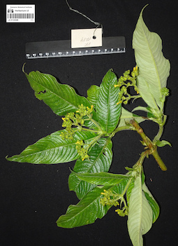 LE 01123349