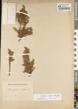 LE 01191731