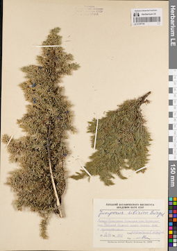 LE 01191744