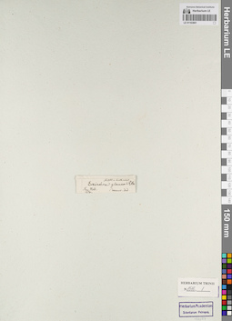 LE 01163801
