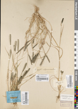 LE 01163830