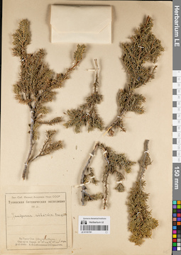 LE 01191791