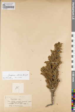 LE 01191835