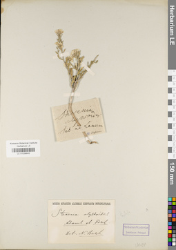 LE 01038646