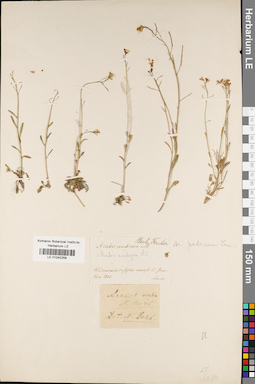 LE 01042258