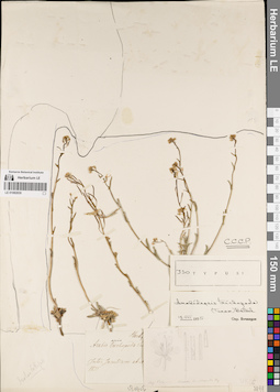 LE 01082830
