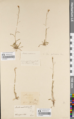 LE 01082836