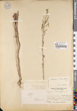 LE 01082890