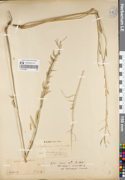 LE 01082891