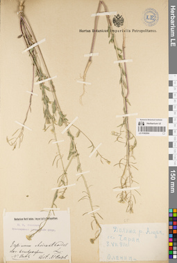 LE 01082904
