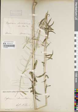LE 01082908