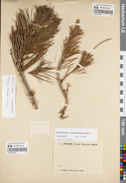 LE 01192156