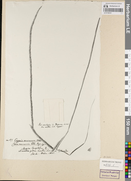 LE 01164141