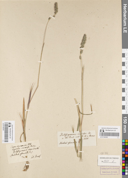 LE 01164162