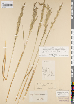 LE 01164201