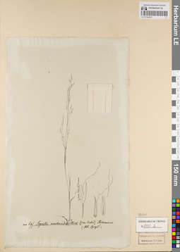 LE 01164203