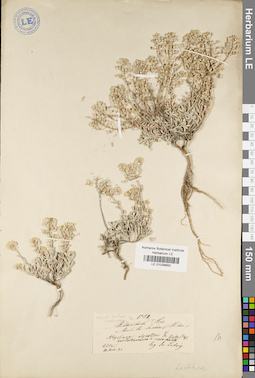 LE 01038692