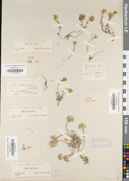 LE 01038711