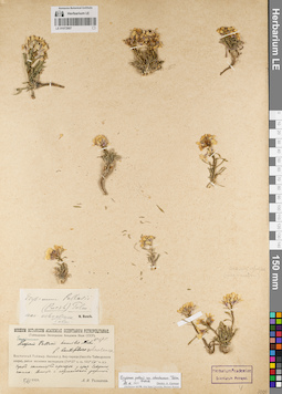 LE 01072907