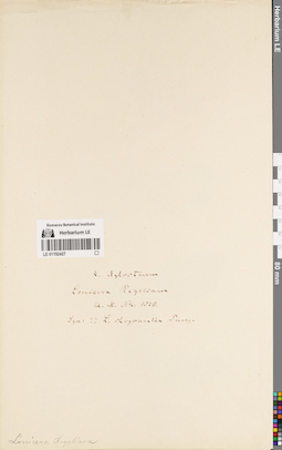 LE 01192427
