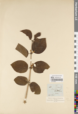 LE 01192433