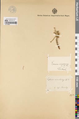LE 01192682