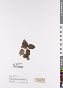 LE 01169029