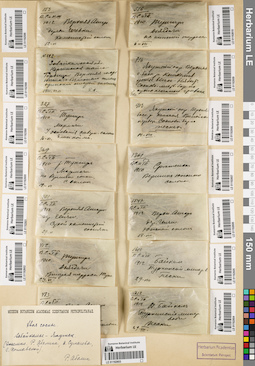 LE 01192610