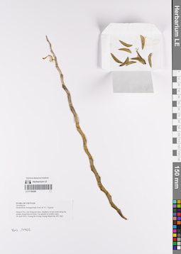 LE 01169288