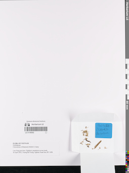 LE 01169302