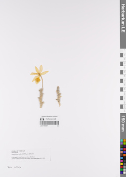 LE 01169307