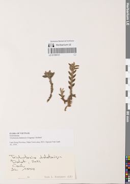 LE 01169131
