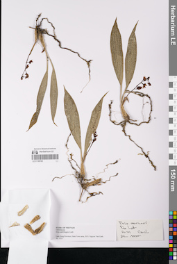LE 01169162