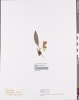 LE 01169195