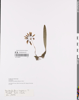 LE 01169197