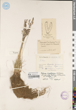 LE 01072116
