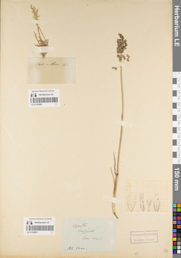 LE 01182850