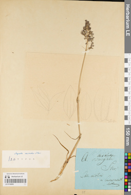 LE 01182852
