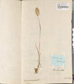 LE 01182914