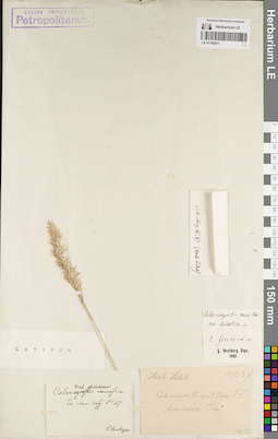 LE 01182931