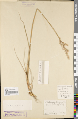 LE 01182933